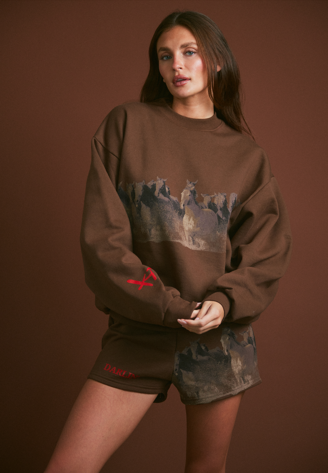 WILD HORSE Crewneck - Tobacco