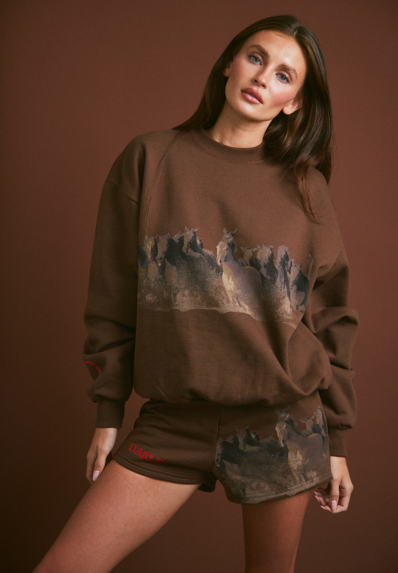 WILD HORSE Crewneck - Tobacco