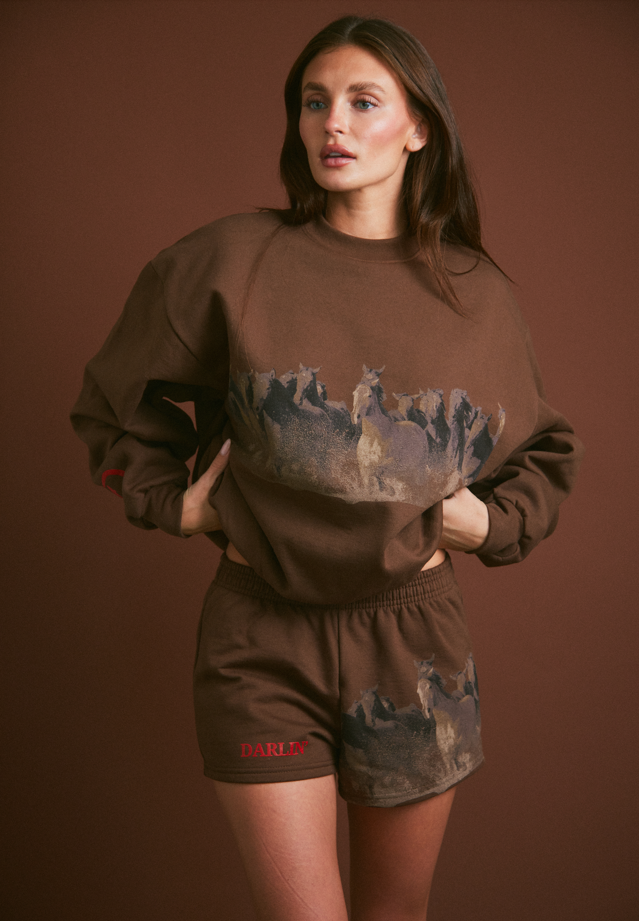 WILD HORSE Crewneck - Tobacco